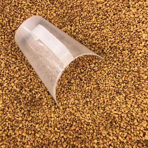 FENO GREGO EM GRÃOS | 100g