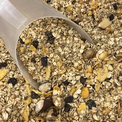 GRANOLA COM CASTANHAS DIET | BIOSOFT | 100g