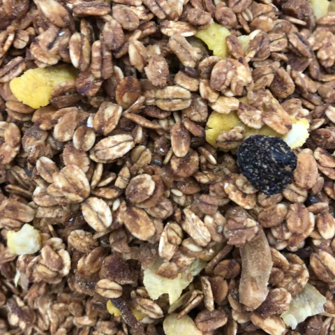 GRANOLA CASEIRA WS | 100g