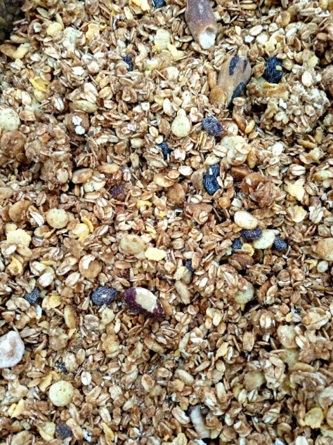 GRANOLA COM CASTANHAS | BIOSOFT | 100g