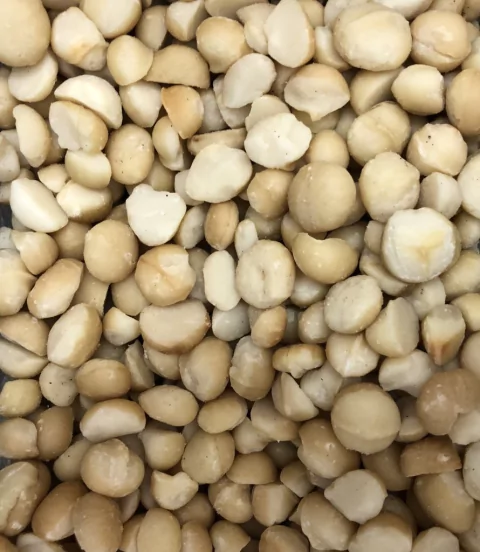 NOZ MACADÂMIA NATURAL CRUA | 100g