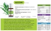 ÓLEO ESSENCIAL (OPÇÕES) | PHYTOTERÁPICA - loja online