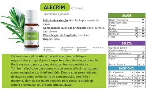 ÓLEO ESSENCIAL (OPÇÕES) | PHYTOTERÁPICA - loja online