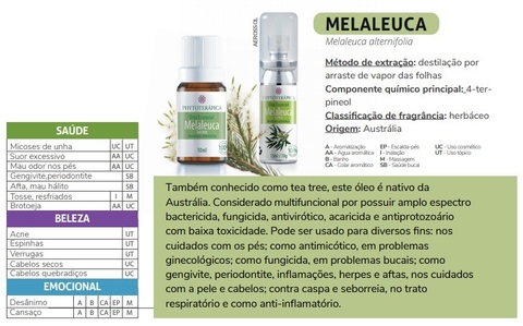 ÓLEO ESSENCIAL (OPÇÕES) | PHYTOTERÁPICA - loja online