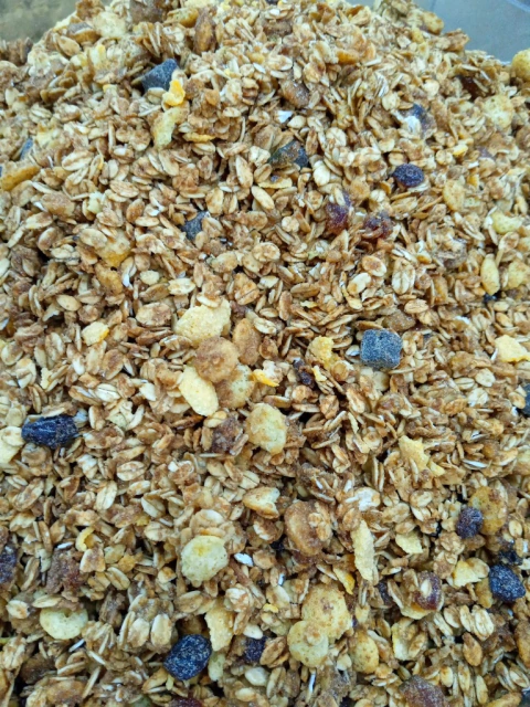 GRANOLA FRUTAS BIOSOY - BIOSOFT | 100G