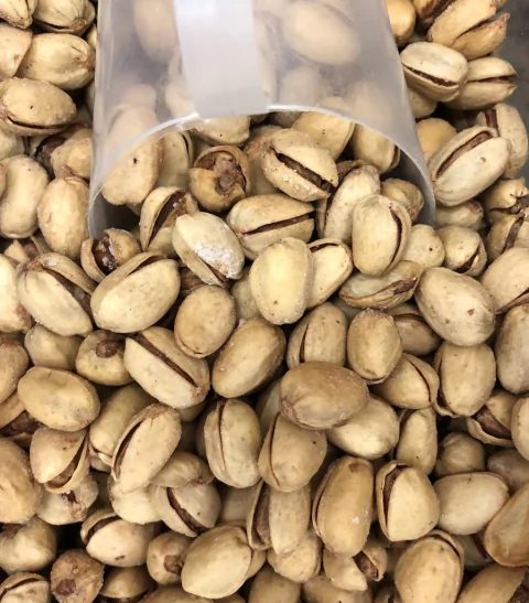 PISTACHE TORRADO COM CASCA SALGADO | 100g