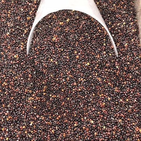 QUINOA PRETA EM GRÃOS | 100g