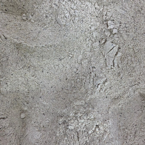 FARINHA DE TRIGO SARRACENO | 100G