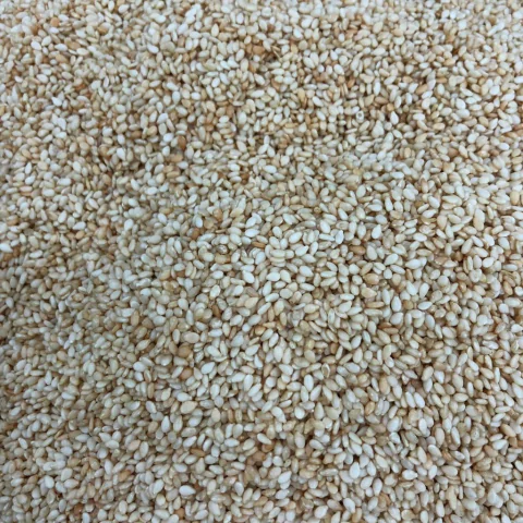 GERGELIM TOSTADO SEM CASCA | 100g