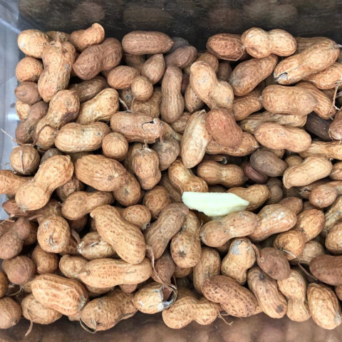 AMENDOIM CRU COM CASCA | 100G