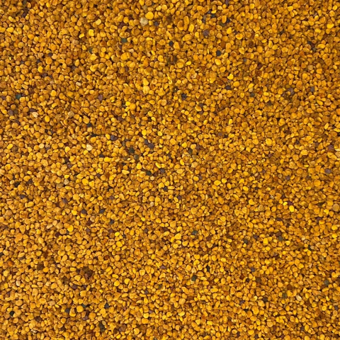 PÓLEN DE FLORES | 100g
