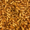 BISCOITO DE ARROZ SABOR TOMATE | 100g - comprar online