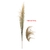FLOR ARTIFICIAL CAPIM DOS PAMPAS SECO - ALT 1.50 M