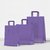 BOLSA ACUARIO VIOLETA - PACK X 10 UNIDADES (ELEGÍ EL TAMAÑO)