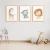 Quadro Decorativo Infantil - Trio: Safari Aventura Animal na internet
