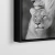 Quadro Decorativo - Leão e Leoa (Canvas) na internet