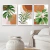 Quadro Decorativo - Trio: Floresta tropical - Pendure | Loja de Quadros Decorativos