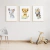 Quadro Decorativo Infantil - Trio: Safari Flores - Rinoceronte, Leoa e Zebra