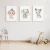Quadro Decorativo Infantil - Trio: Safari Flores - Macaca, Elefante e Rinocenronte - comprar online