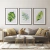 Quadro Decorativo - trio: folhagem aquarela - comprar online
