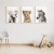 Quadro Decorativo Infantil - Trio: Safari - Elefante, Leão e Zebra