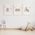 Quadro Decorativo Infantil - Trio: Ursinho - comprar online