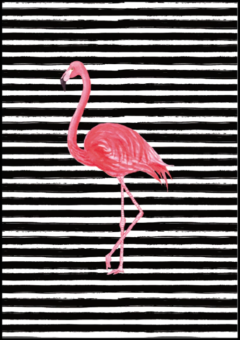 Quadro Decorativo - Flamingo II