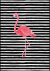 Quadro Decorativo - Flamingo II