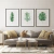 Quadro Decorativo - trio: folhagem 3 - comprar online