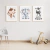 Quadro Decorativo Infantil - Trio: Safari - Macaco, Elefante e Zebra - comprar online