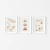 Quadro Decorativo Infantil - Trio: Carros Neutral - comprar online