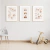 Quadro Decorativo Infantil - Trio: Carros Neutral na internet