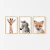 Quadro Decorativo Infantil - Trio: Safari - Girada, Zebra e Raposa - comprar online