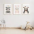 Quadro Decorativo Infantil - Trio: Guaxinim, Coelho e Urso