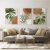 Quadro Decorativo - Trio: Floresta tropical
