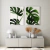 Quadro Decorativo - duo: costela de adão