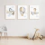 Imagem do Quadro Decorativo Infantil - Trio: Safari Aviador Azul