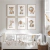 Quadro Decorativo Infantil - Coleção Safari 2 (6 peças) - comprar online