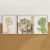 Quadro Decorativo Infantil - Trio: Dinossauros Color