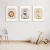 Quadro Decorativo Infantil - Trio: Safari com Detalhes - comprar online
