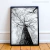 Quadro Decorativo - Galhos na internet