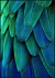 Quadro Decorativo - Arara (02)