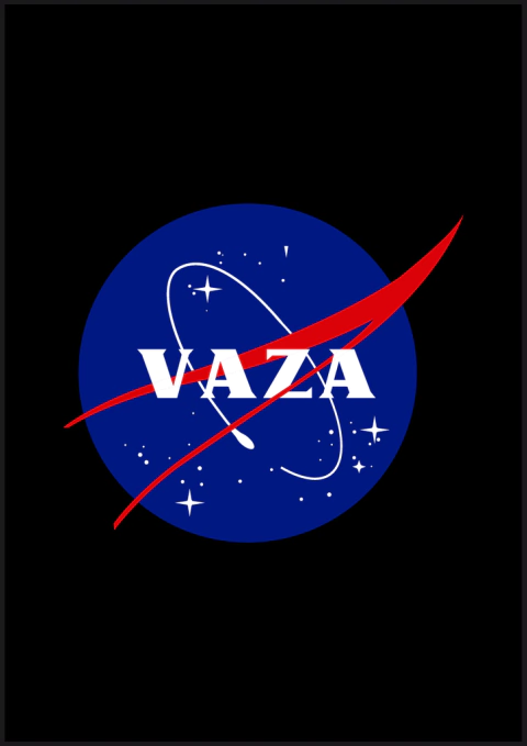 Quadro Decorativo - Vaza