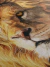 Imagem do Quadro Decorativo - Leão Pintura (Canvas)
