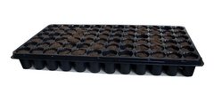 Pat Bandeja 72 alvéolos con turba prensada (jiffy) 6 x 12 celdas - comprar online