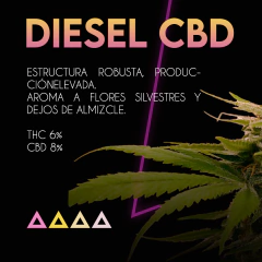 Fotoperiodica Diesel CBD x 3 semillas Sé+ Colección - comprar online