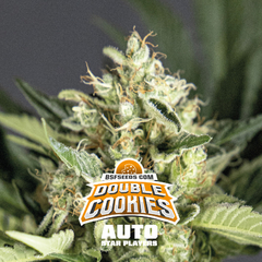 Automatica Double Cookies X 4 BSF