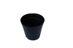 Maceta Soplada N° 12, 750 cc. x 50