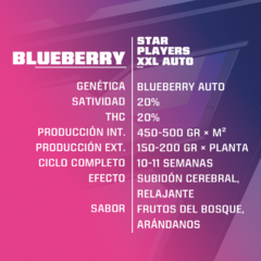 Automatica Blueberry XXL X 12 BSF - comprar online