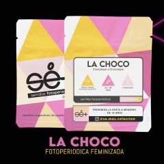 Fotoperiodica La Choco x 3 semillas Sé+ Colección